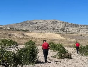 Kaybolan 8 Hayvan Bulundu