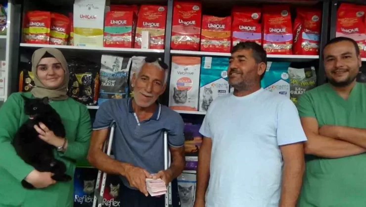 Kayıp Kedi Bulundu, Sahibi 60 Bin TL Ödül Verdi