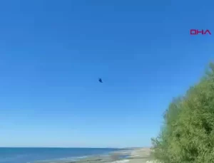 Kayıp Öğrenci Rojin Kabaiş 11. Günde Aranıyor