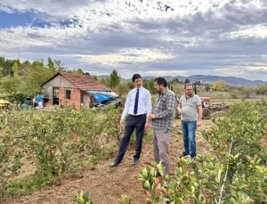 Kaymakam Kahraman’dan Ahududu ve Aronya İncelemesi