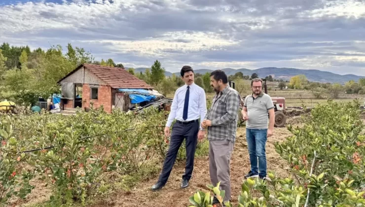 Kaymakam Kahraman’dan Ahududu ve Aronya İncelemesi