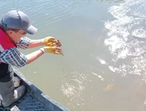 Kayseri’de Kaçak Avlanmaya Son!