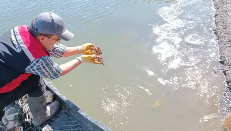 Kayseri’de Kaçak Avlanmaya Son!