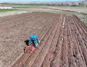Kayseri’de Patates Hasadı Başladı