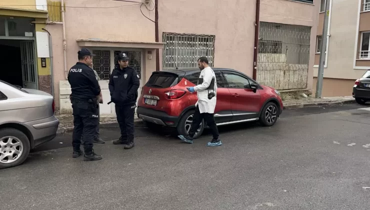 Kedi Yüzünden Kanlı Kavga