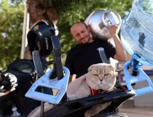 Kedili Tüpçü Şaşırtıyor