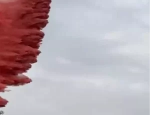 Kemalpaşa’da Zeytinlik Yangını Kontrol Altına Alındı