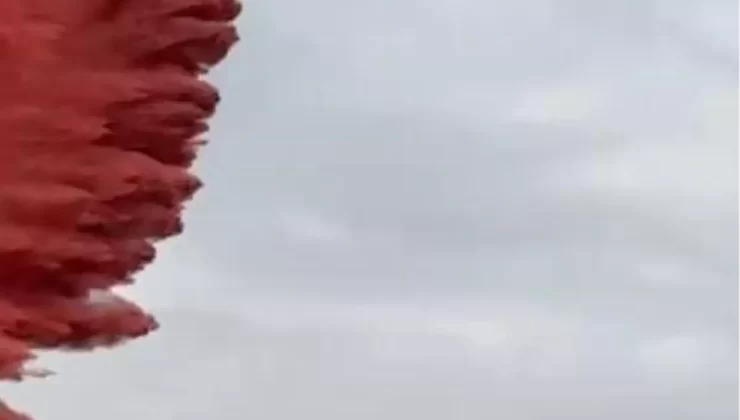 Kemalpaşa’da Zeytinlik Yangını Kontrol Altına Alındı