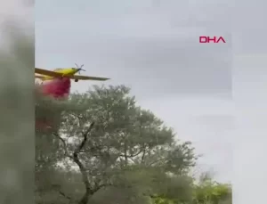 Kemalpaşa’da Zeytinlik Yangını Kontrol Altında