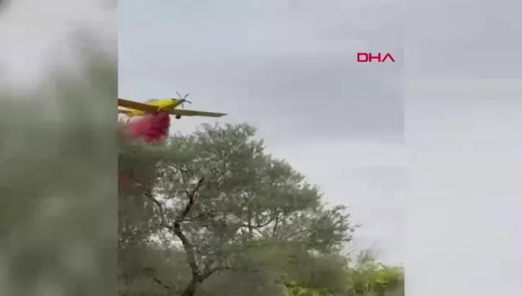 Kemalpaşa’da Zeytinlik Yangını Kontrol Altında