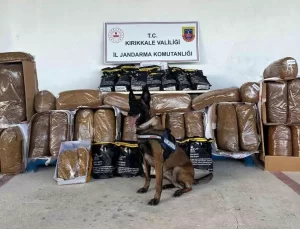 Kırıkkale’de 710 kg Kaçak Tütün Ele Geçirildi