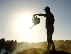 Kırıkkale’de Mangal Kömürü Üretimi