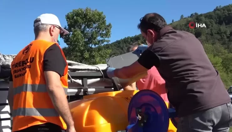 Kış Öncesi Kokarca Mücadelesi