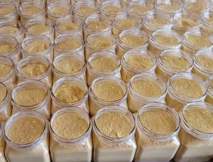 Kıtlığa Karşı Kabaktan Un Üretimi