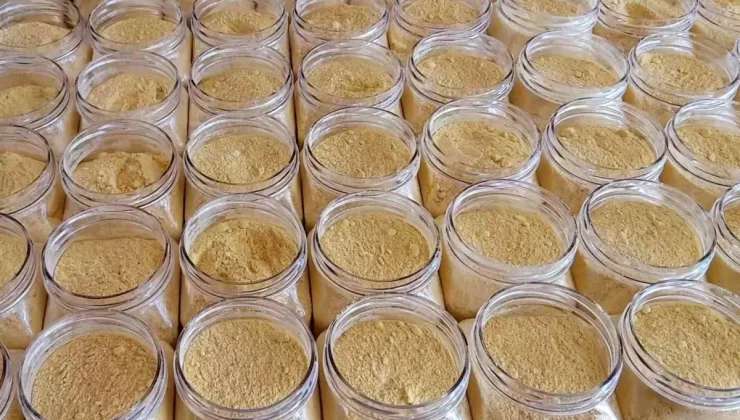 Kıtlığa Karşı Kabaktan Un Üretimi