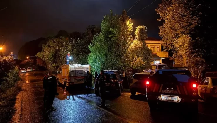 Kocaali’de Kestane Toplarken Kaybolan Yaşlı Adam İçin Arama Başlatıldı