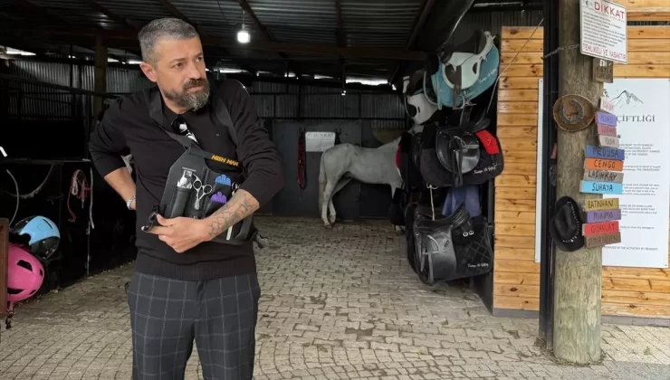 Kocaeli’de At Kuaförü Hizmeti