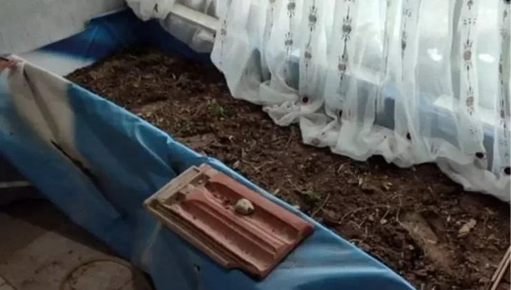 Konya’da Uyuşturucu Serası Baskını