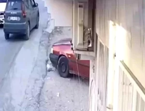 Köpek Ezme Olayında Adam Gözaltına Alındı