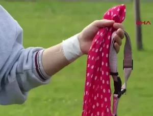 Köpek Saldırısı ve Adalet Arayışı