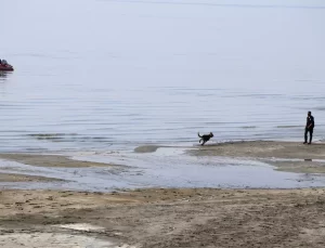 Köpeklerle Arama Çalışmaları Başlıyor