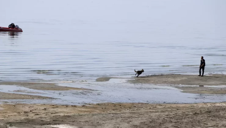 Köpeklerle Arama Çalışmaları Başlıyor