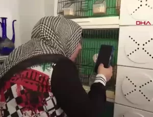 Kuşlar, Gökçe Çelik’in Çocukları Gibi