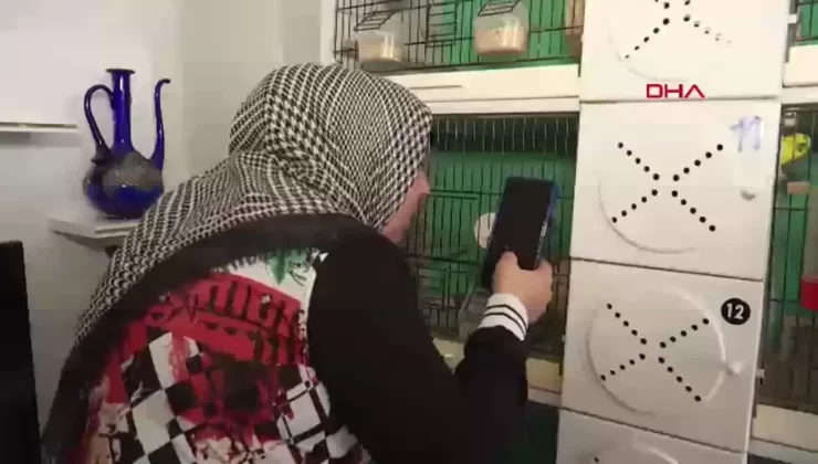 Kuşlar, Gökçe Çelik’in Çocukları Gibi