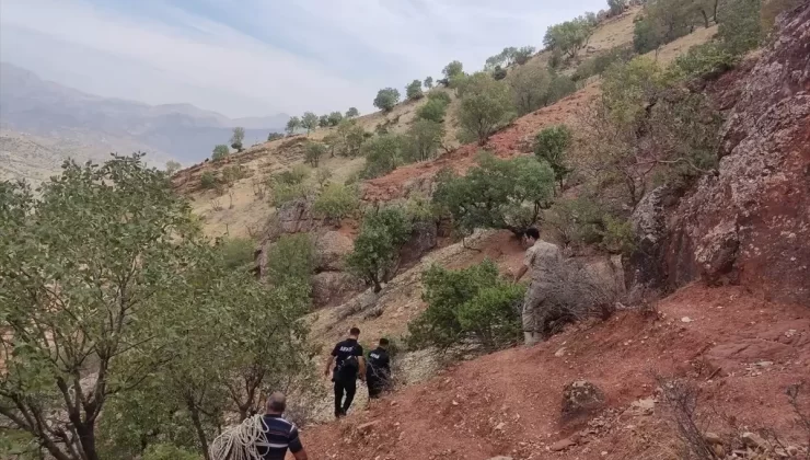 Mahsur Kalan Çoban Kurtarıldı