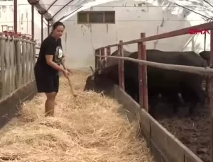 Manda Yetiştiriciliğinde Başarı Hikayesi