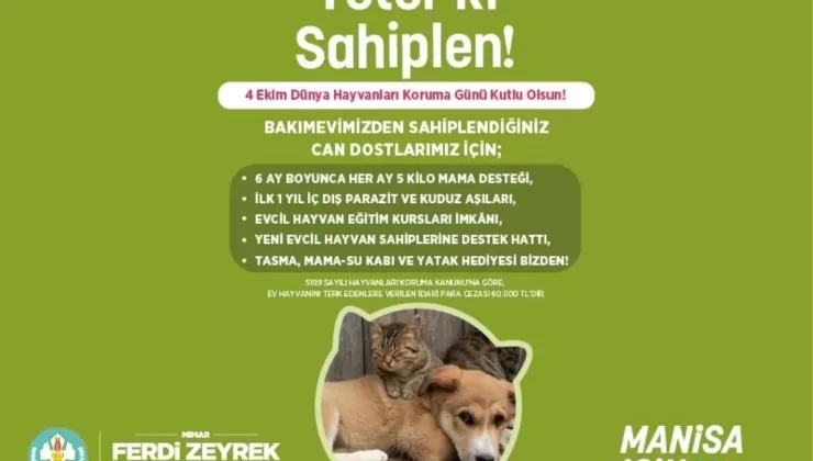 Manisa’da Sokak Hayvanlarına Yuva Bulmak İçin Yeni Kampanya Başlatıldı