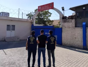 Mardin’de Operasyon: 13 Suçlu Tutuklandı