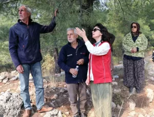 Menteşe Belediye Başkanı Köksal, Yangın Söndürme Çalışmalarını İnceledi