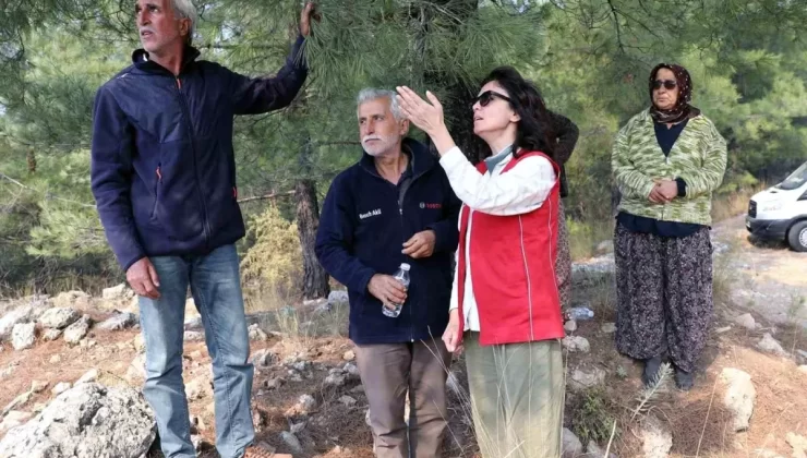 Menteşe Belediye Başkanı Köksal, Yangın Söndürme Çalışmalarını İnceledi