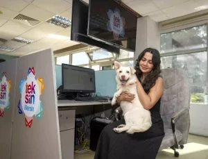 Mersin Büyükşehir Belediyesi’nden Köpek Sahiplenme Kampanyası