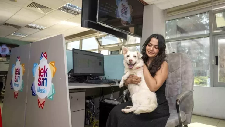 Mersin Büyükşehir Belediyesi’nden Köpek Sahiplenme Kampanyası