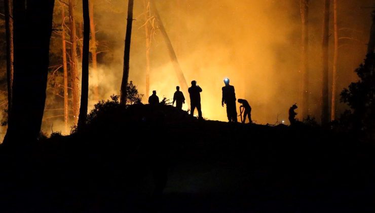 Muğla’da çıkan iki orman yangınına müdahale ediliyor: İki hanede 11 kişi tahliye edildi