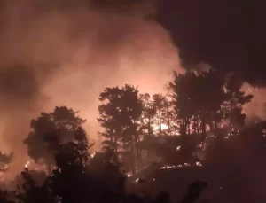 Muğla’da İki Orman Yangını