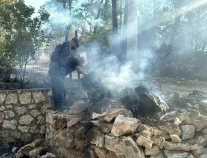 Muğla’da Orman Yangını Kontrol Altına Alındı, Araştırmalar Başlatıldı