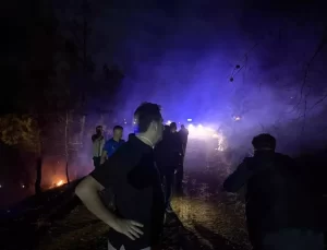 Muğla’da Orman Yangını Kontrol Altında