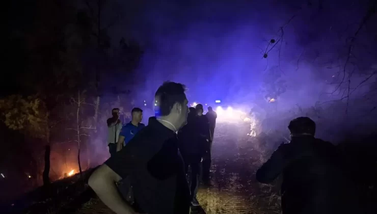 Muğla’da Orman Yangını Kontrol Altında