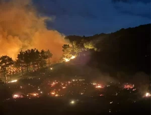 Muğla’da Orman Yangınlarıyla Mücadele