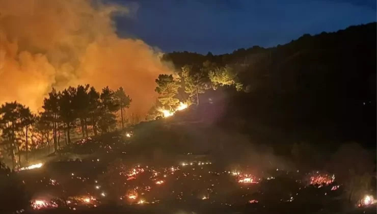 Muğla’da Orman Yangınlarıyla Mücadele