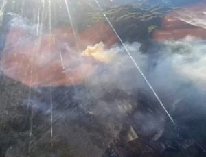 Muğla’da Üç Noktada Orman Yangını