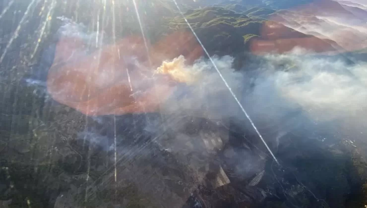 Muğla’da Üç Noktada Orman Yangını