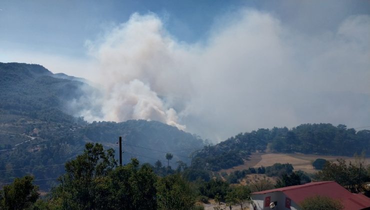 Muğla’daki orman yangınında müdahale sürüyor