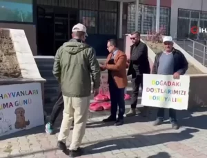 Muradiye’de Yaban Hayvanlarına Yem Bırakıldı