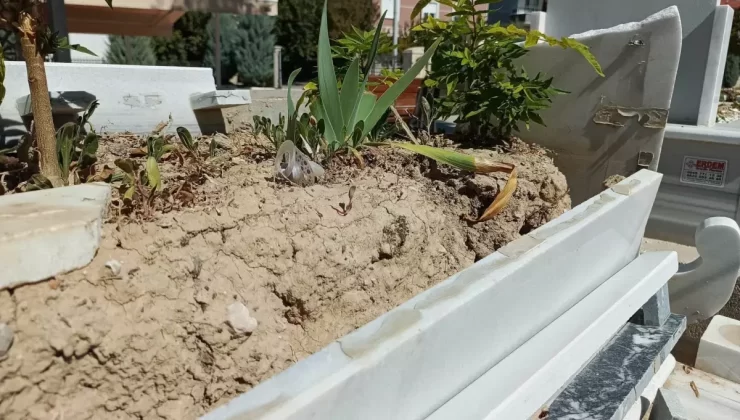 Müslüme Yağal’ın Mezarı Tahrip Oldu