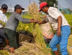 Nepal’de Dünya Gıda Günü Kutlandı