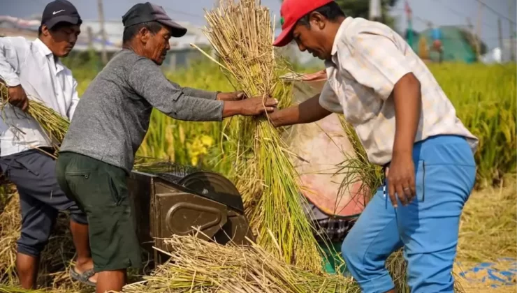 Nepal’de Dünya Gıda Günü Kutlandı